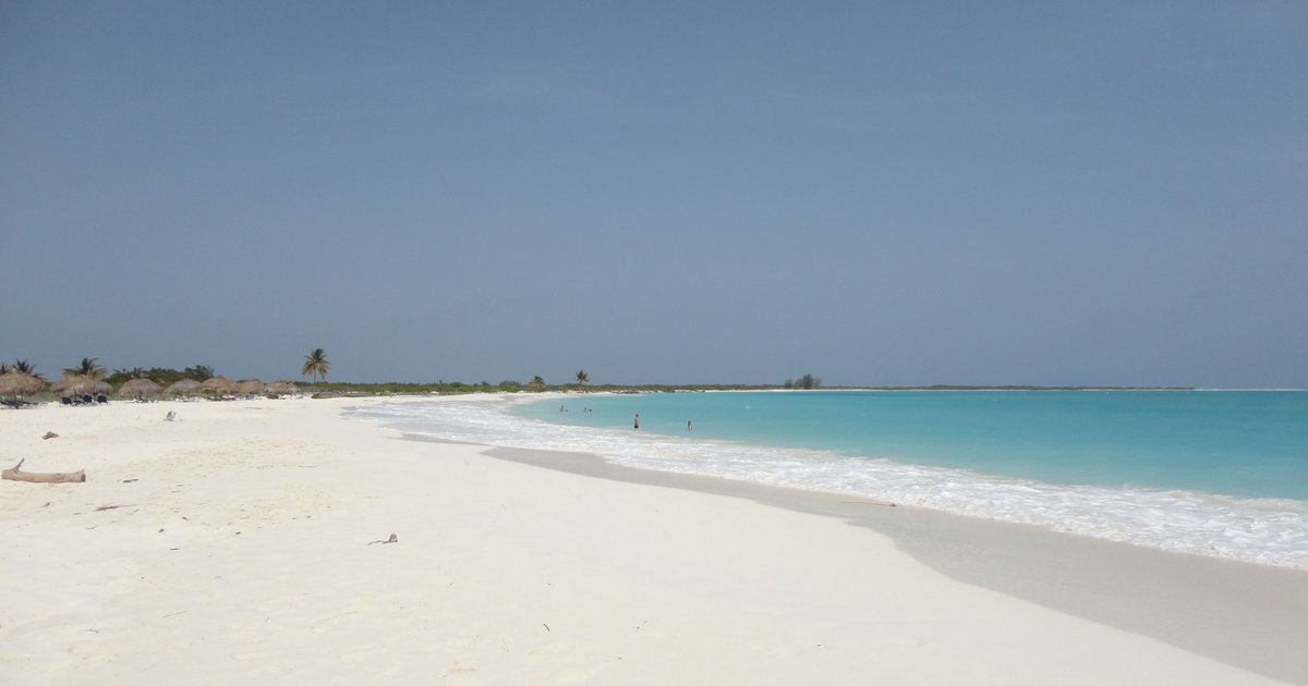 Cayo Perico Informationen sammeln: Schnell & effizient